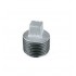 PLUG GALVANIZADO 2"